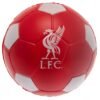 158434-Liverpool-FC-Stress-Ball-2 Official Liverpool FC Stress Ball