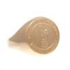 Official Tottenham Hotspur FC 9ct Gold Crest Ring Medium Official Tottenham Hotspur FC 9ct Gold Crest Ring Medium