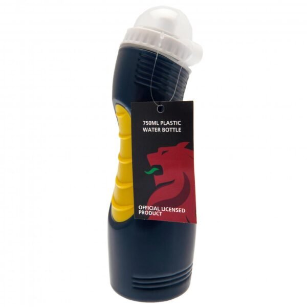 190555-Scotland-Drinks-Bottle-2 Official Scottish FA Drinks Bottle