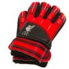 190907-Liverpool-FC-Goalkeeper-Gloves-Kids-DT Official Liverpool FC Delta Goalkeeper Gloves Kids