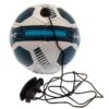 Official Tottenham Hotspur FC Size 2 Skills Trainer