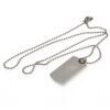 Official Liverpool FC Engraved Dog Tag & Chain LB