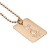Official Tottenham Hotspur FC Gold Plated Dog Tag & Chain