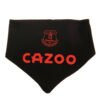 TM-00118-Everton-FC-2-Pack-Bibs-2 Official Everton FC 2 Pack Bibs