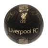 TM-00529-Liverpool-FC-Skill-Ball-Signature-Gold-PH Official Liverpool FC Sig Gold Phantom Skill Ball