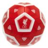 Official Liverpool FC Hex Size 3 Football