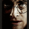 Official Harry Potter Framed 3D Picture