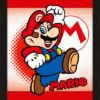 Official Super Mario Framed 3D Picture