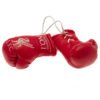 TM-01547-Liverpool-FC-Mini-Boxing-Gloves-RD-1 Official Liverpool FC Red Mini Boxing Gloves