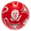 TM-01608-England-Lionesses-Football-2 Official England Lionesses Football