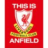 TM-01784-Liverpool-FC-3D-Print-1 Official Liverpool FC 3D Print