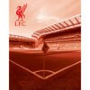 TM-01784-Liverpool-FC-3D-Print-2 Official Liverpool FC 3D Print