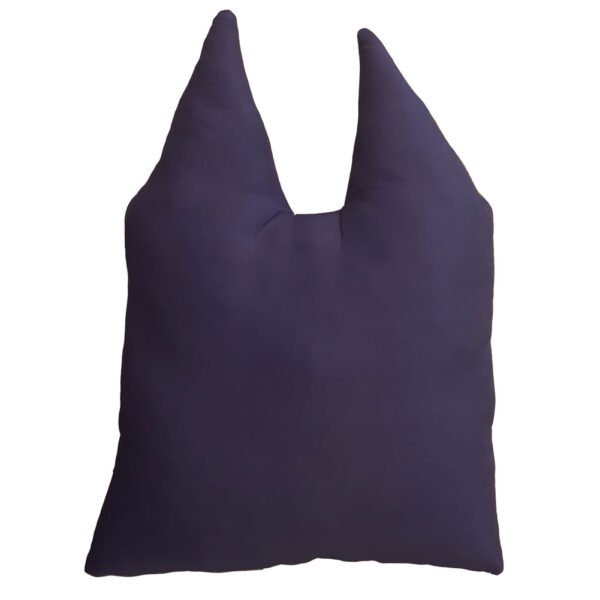 TM-01791-Bluey-Cushion-1 Official Bluey Shaped Cushion Bluey