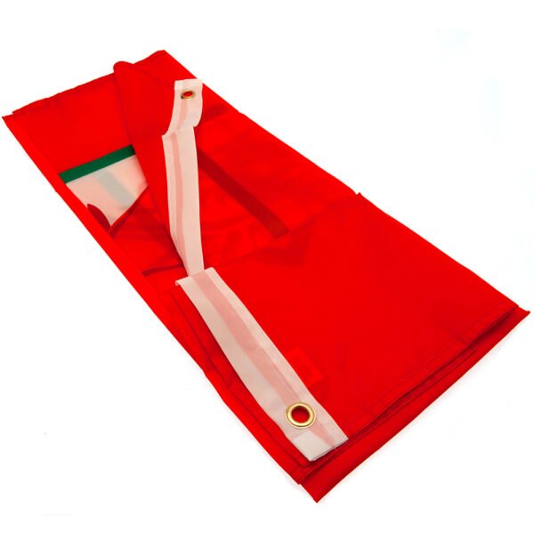 TM-02067-FA-Wales-Flag-CC-2 Official FA Wales Core Crest Flag