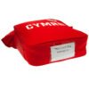 Official FA Wales Kit Lunch Bag