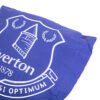 Official Everton FC Cushion