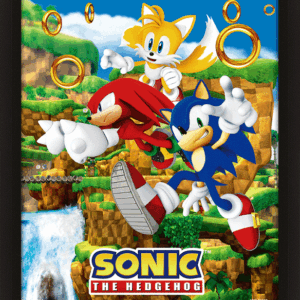 TM-03276-Sonic-The-Hedgehog-Framed-3D-Picture Official Sonic The Hedgehog Framed 3D Picture
