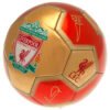 TM-03321-Liverpool-FC-Sig-26-Football Official Liverpool FC Sig 26 Football