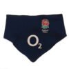 Official England Rugby 2 Pack Bibs PC