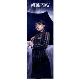 TM-03952-Wednesday-Door-Poster-303 Official Wednesday Door Poster 303