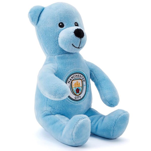 Official Manchester City FC Solid Bear BB
