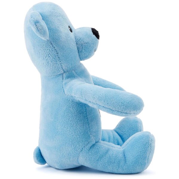 Official Manchester City FC Solid Bear BB