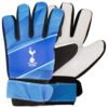 Official Tottenham Hotspur FC Fuse Goalkeeper Gloves Kids
