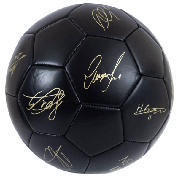 TM-04603-Newcastle-United-FC-Sig-Gold-Phantom-Football-1 Official Newcastle United FC Sig Gold Phantom Football