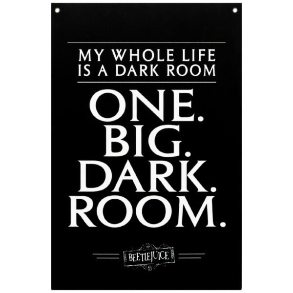 TM-04916-Beetlejuice-XL-Fabric-Wall-Banner Official Beetlejuice XL Fabric Wall Banner