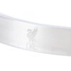 Official Liverpool FC Liverbird Stainless Steel Bracelet