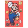 Official Super Mario Essential Notebook