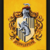 Official Harry Potter Hufflepuff Framed 3D Picture