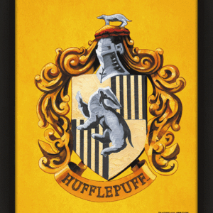 Official Harry Potter Hufflepuff Framed 3D Picture