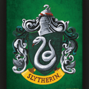 Official Harry Potter Slytherin Framed 3D Picture