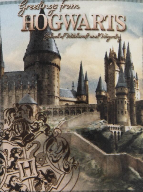 Official Harry Potter Hogwarts Castle Premium Fleece Blanket