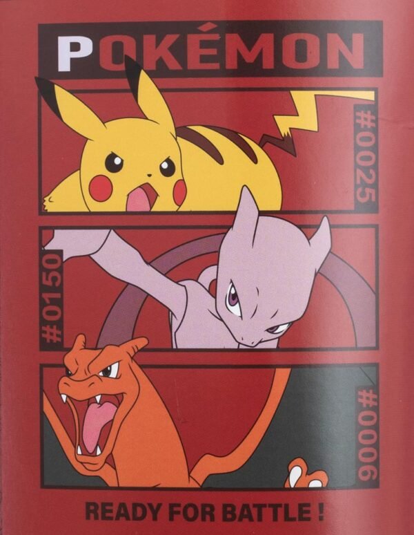 TM-06131-Pokemon-Premium-Fleece-Blanket-3 Official Pokemon Premium Fleece Blanket