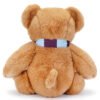 Official Aston Villa FC Supersoft Classic Bear