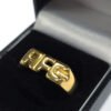 Official Arsenal FC 18ct Gold Plated on Silver AFC Ring - T