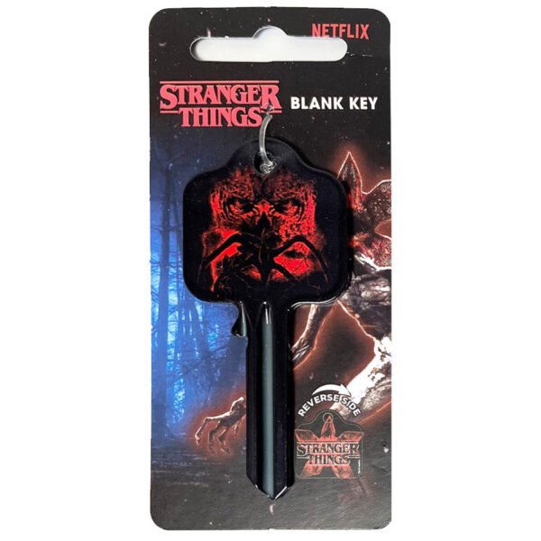 Official Stranger Things Door Key