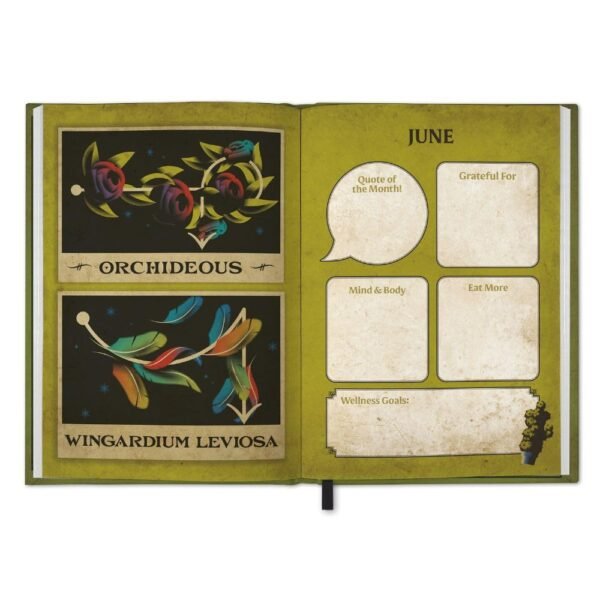 Official Harry Potter A5 Diary 2026