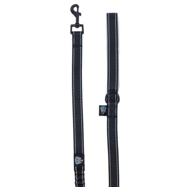 Official Newcastle United FC Reflective Dog Lead