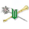 TM-07323-Wicked-Wand-Broomstick-Badge Official Wicked Wand & Broomstick Pin Badge