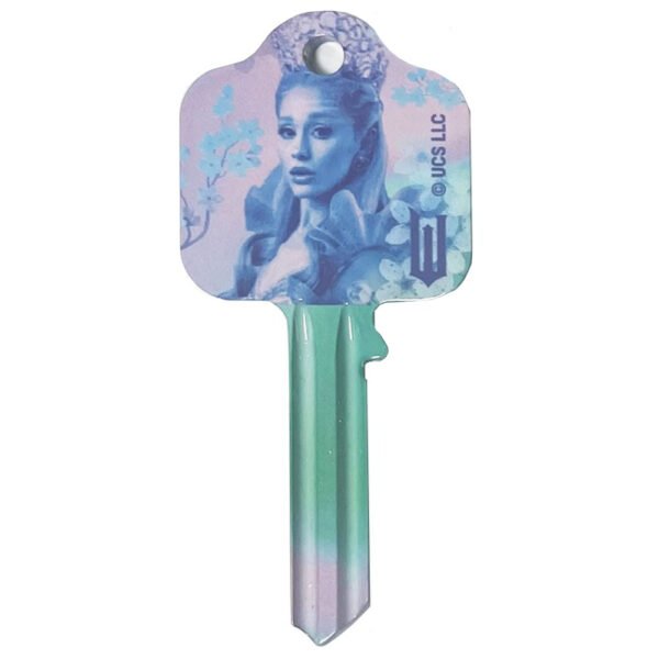 Official Wicked Door Key
