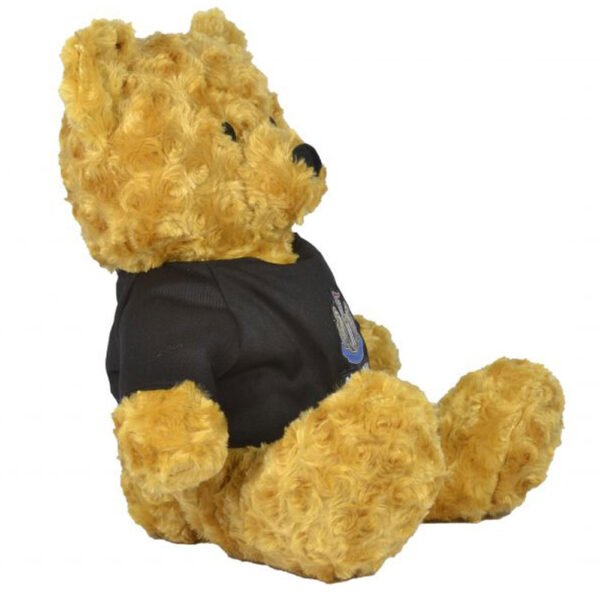 TM-07468-Newcastle-United-FC-Honey-Bear-1 Official Newcastle United FC Honey Bear